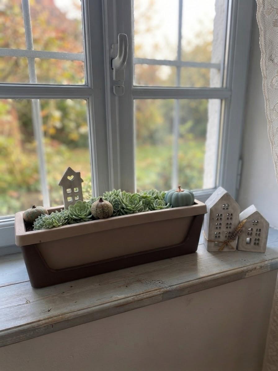 WhatsApp Image 2026-09-01 at 11.45.31 (1)